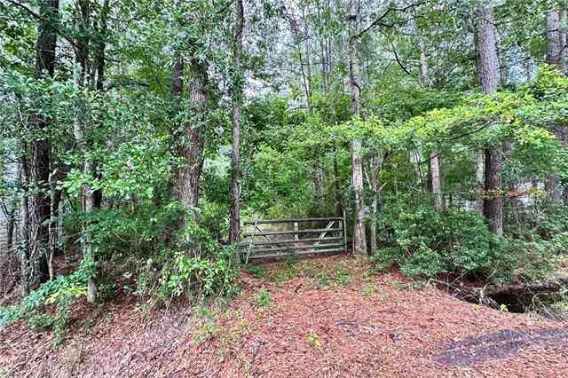 Vacant Land For Sale - 66372 Highway 434 Highway<br/> Lacombe, LA 70445