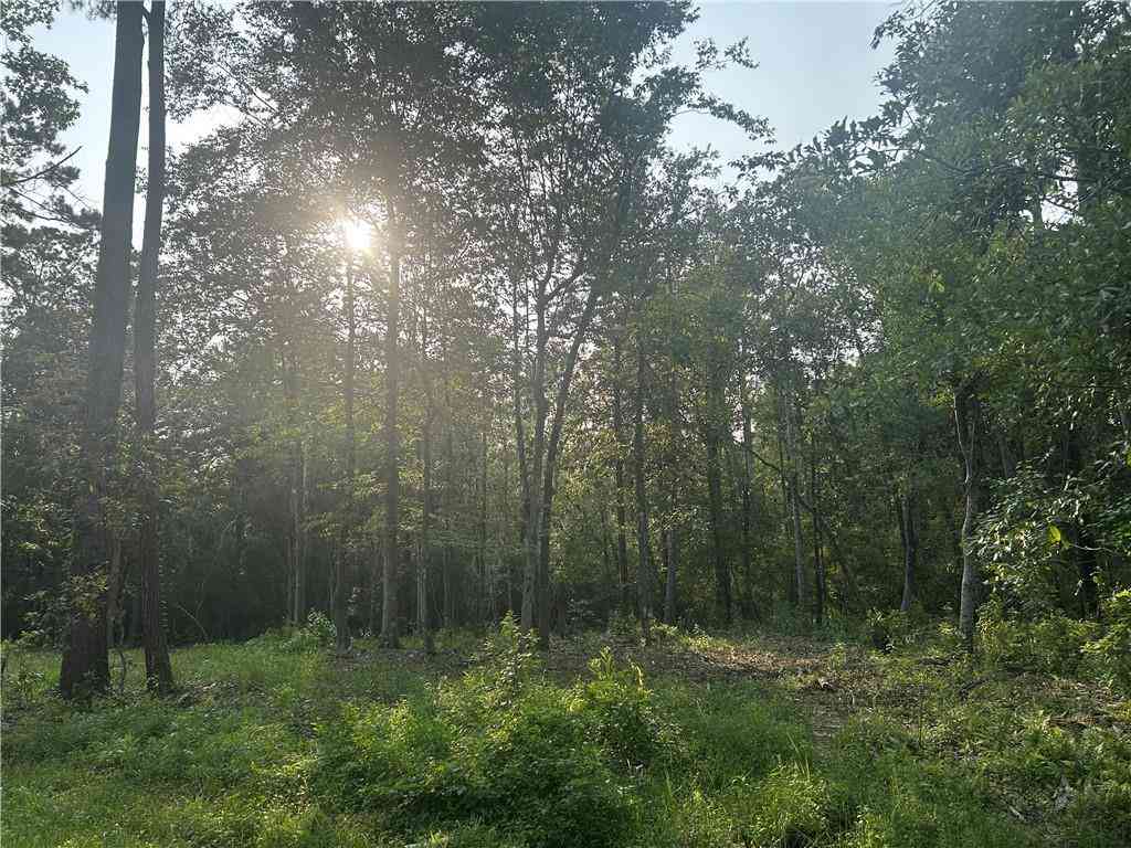 Vacant Land For Sale - LOTS 158 & 159 Bogue Falaya Drive<br/> Covington, LA 70433