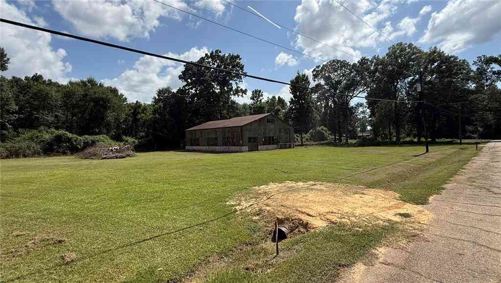 Vacant Land For Sale - 12688 Spitale Road<br/> Amite, LA 70422