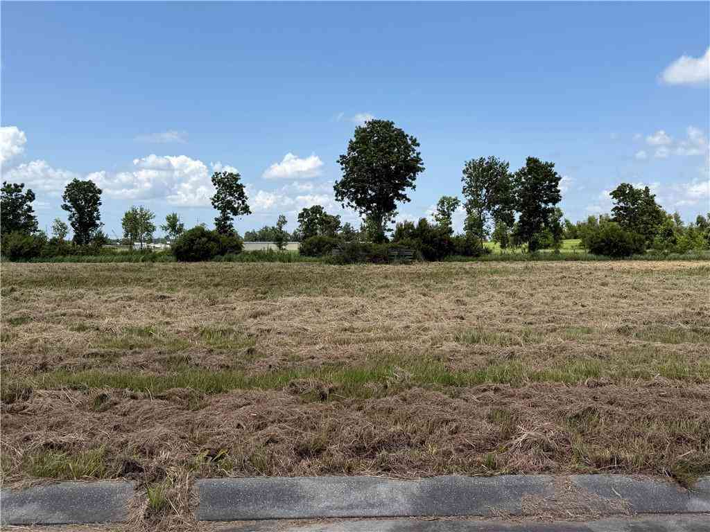 Vacant Land For Sale - 160 Audubon Place<br/> Belle Chasse, LA 70037