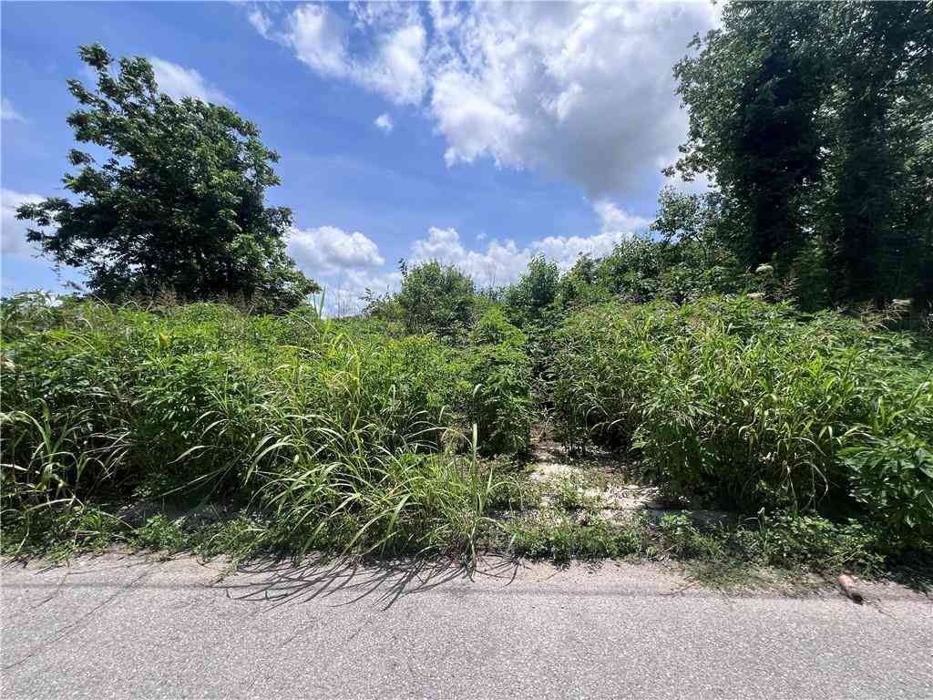 Vacant Land For Sale - 2439 Forstall Street<br/> Orleans County, New Orleans, LA 70117