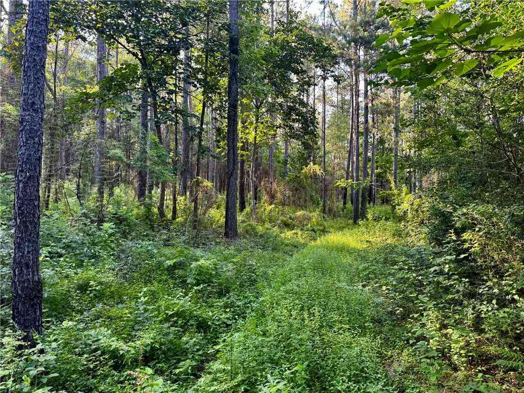 Vacant Land For Sale - PARCEL 3 Wardline Road<br/> Washington County, Bogalusa, LA 70427