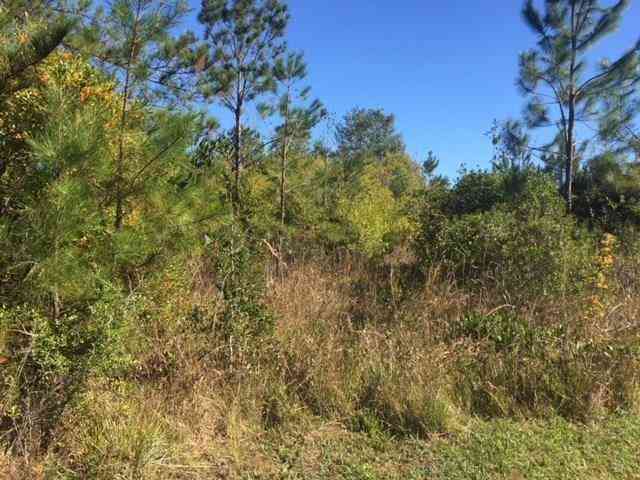 Vacant Land For Sale - TBA Bonnie Lane<br/> Saint Tammany County, Covington, LA 70433