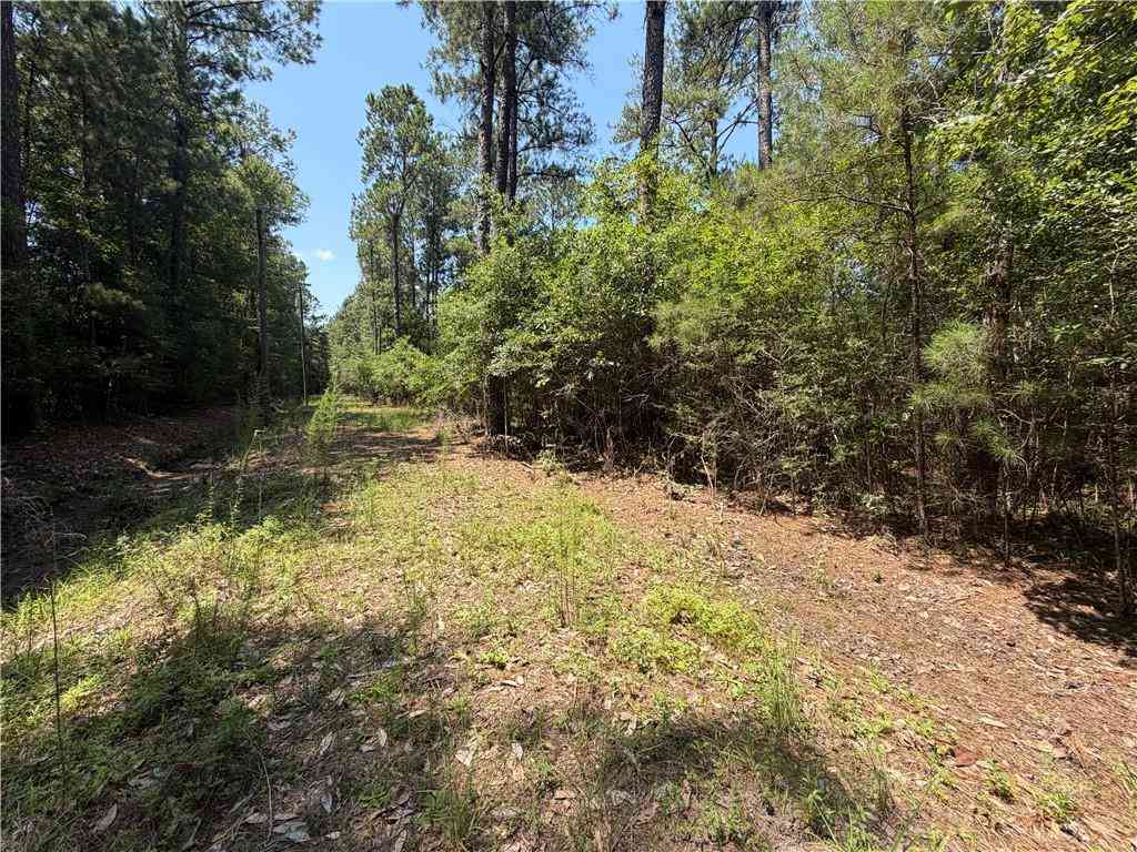 Vacant Land For Sale - Marilyn Drive<br/> Saint Tammany County, Bush, LA 70431