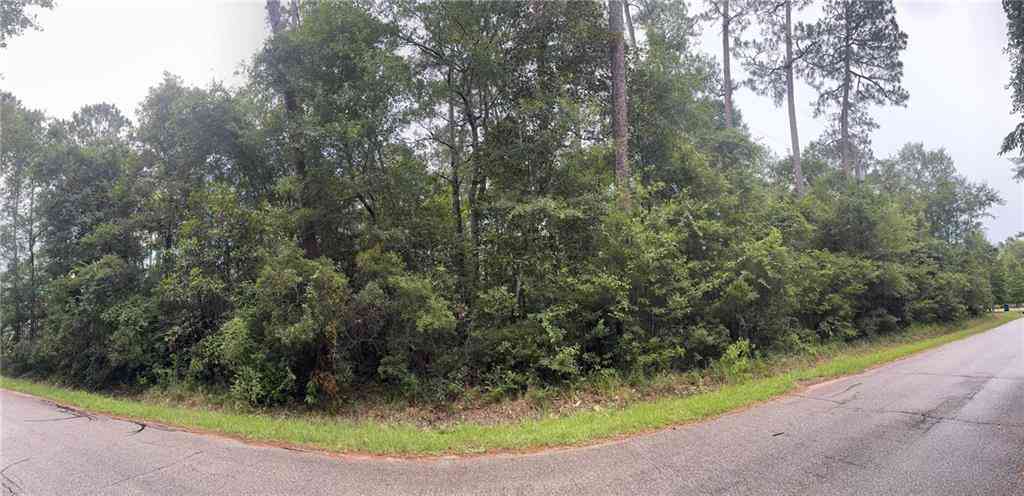 Vacant Land For Sale - W Ruth Road<br/> Saint Tammany County, Lacombe, LA 70445