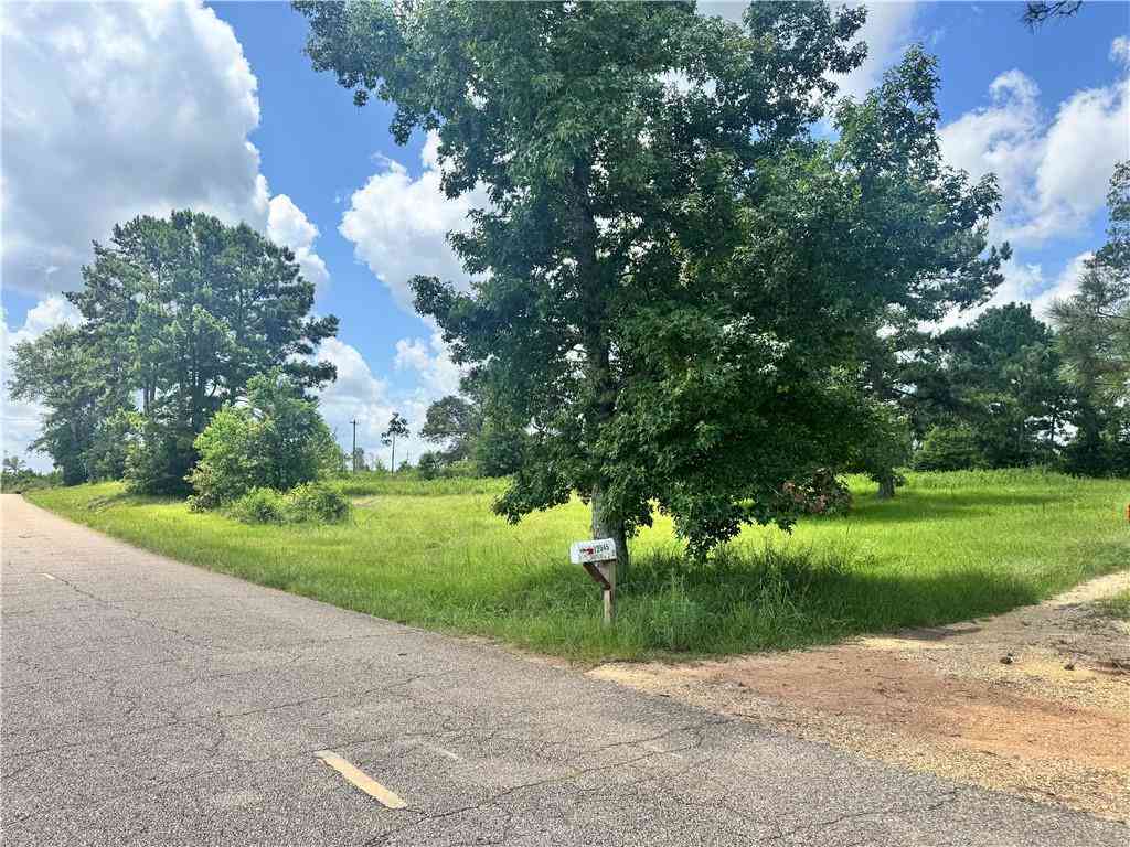 Vacant Land For Sale - 72045 S Lewiston Road<br/> Tangipahoa County, Kentwood, LA 70444