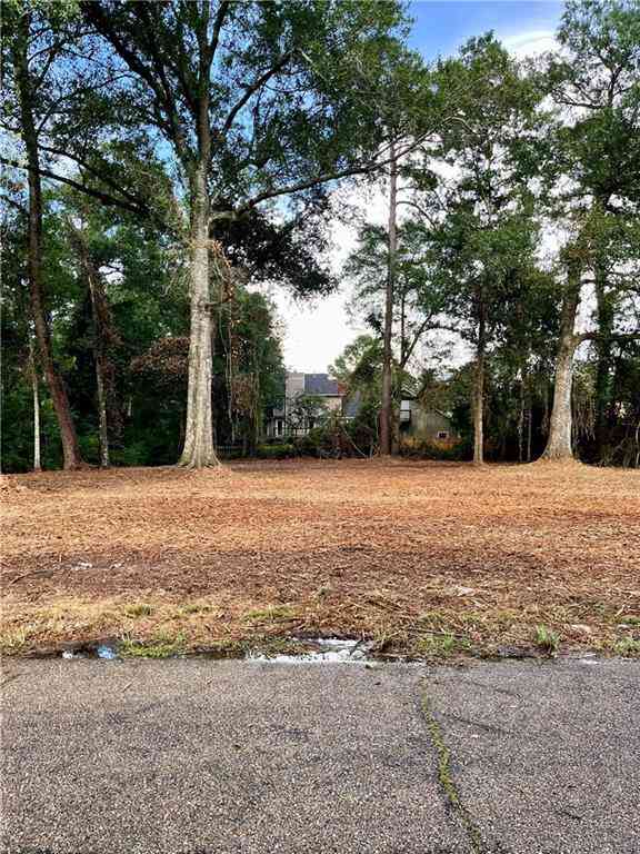 Vacant Land For Sale - Beckie Drive<br/> Hammond, LA 70401
