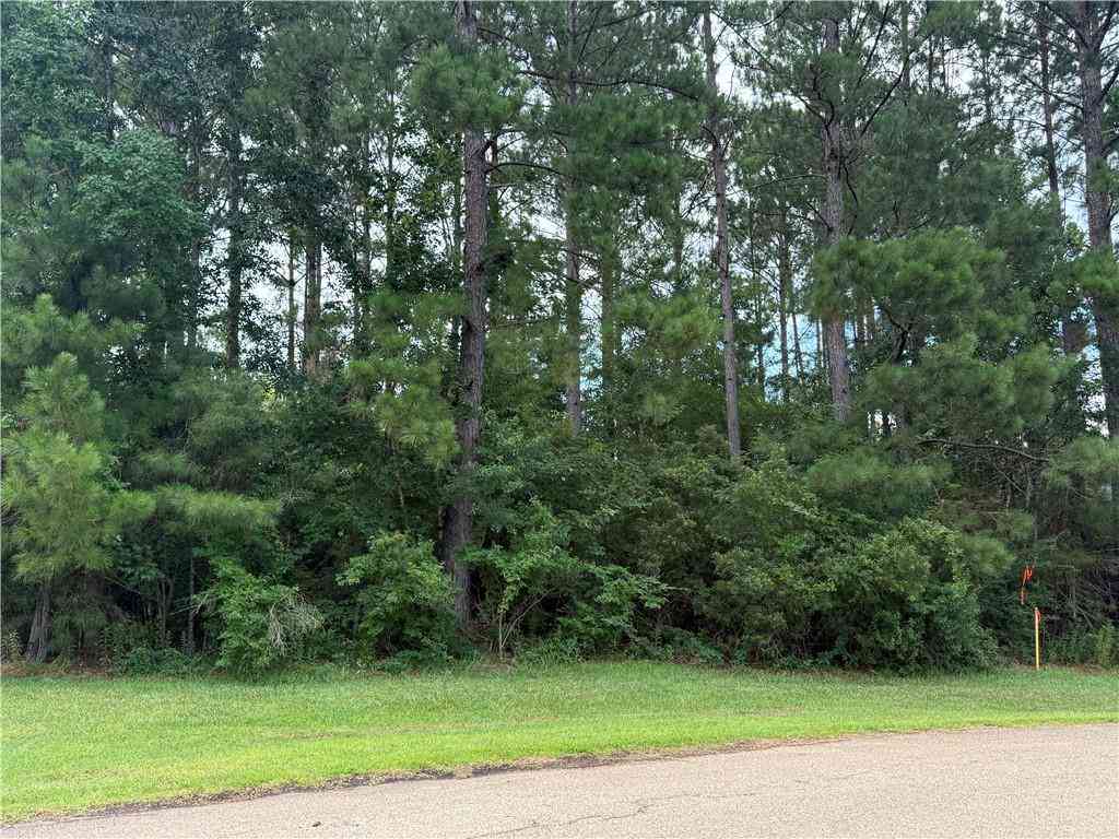 Vacant Land For Sale - 320 Beebalm Circle<br/> Saint Tammany County, Covington, LA 70435