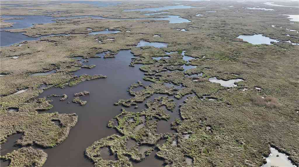 Vacant Land For Sale - Bayou La Loutre<br/> St Bernard, LA 70085