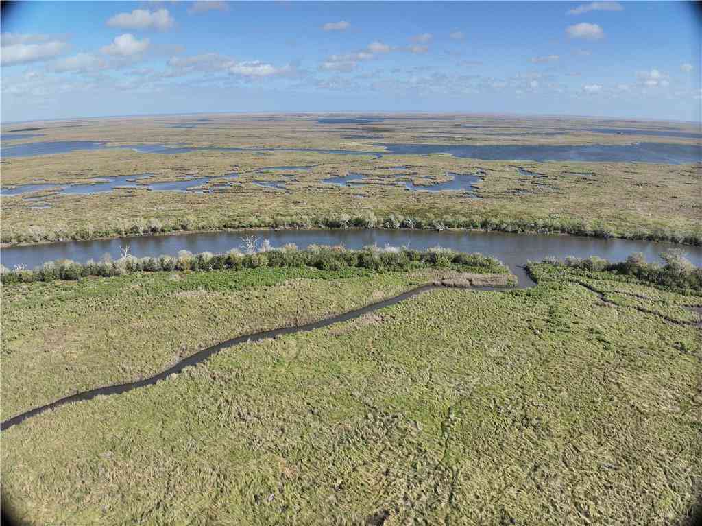 Vacant Land For Sale - Bayou La Loutre<br/> St Bernard, LA 70085