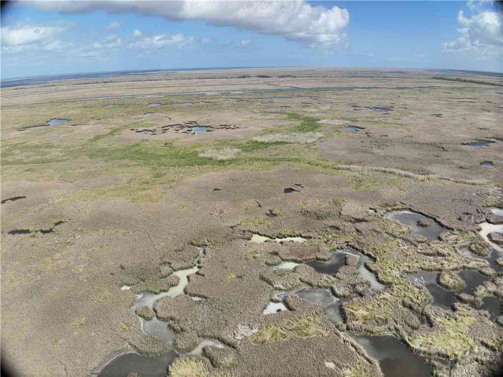 Vacant Land For Sale - Bayou La Loutre<br/> St Bernard, LA 70085