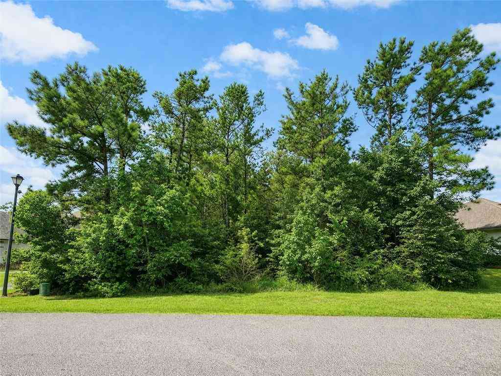 Vacant Land For Sale - 313 Belle Pointe Court<br/> Saint Tammany County, Madisonville, LA 70447