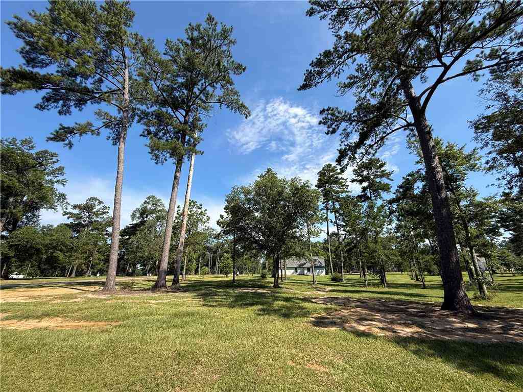 Vacant Land For Sale - 133 Chinawood Drive<br/> Saint Tammany County, Abita Springs, LA 70420