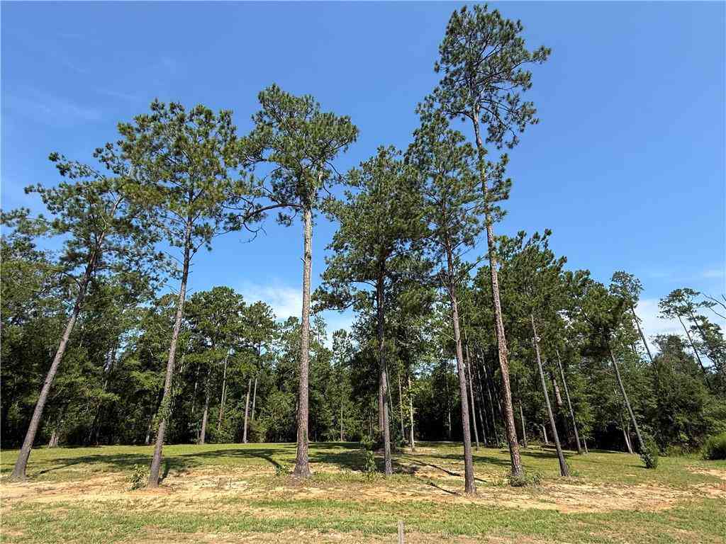 Vacant Land For Sale - 2748 Shade Tree Court<br/> Saint Tammany County, Abita Springs, LA 70420
