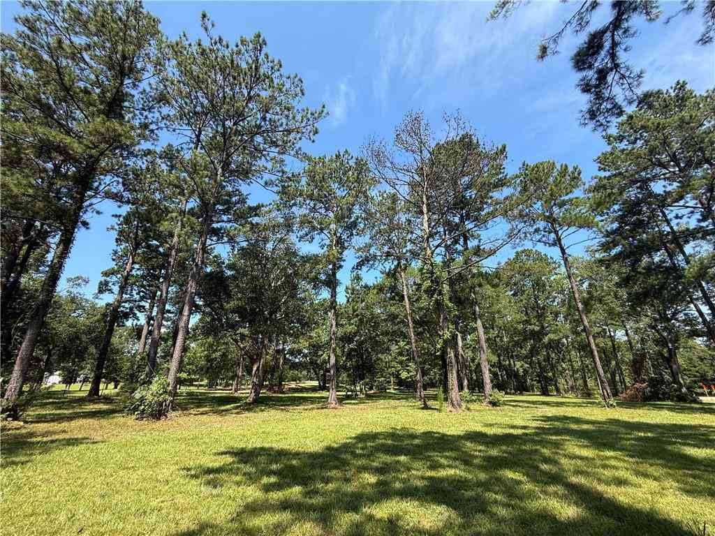Vacant Land For Sale - 7237 The Woods Avenue<br/> Saint Tammany County, Abita Springs, LA 70420