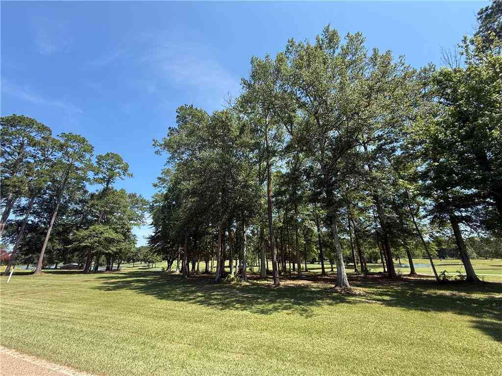 Vacant Land For Sale - 835 Camphill Drive<br/> Saint Tammany County, Abita Springs, LA 70420