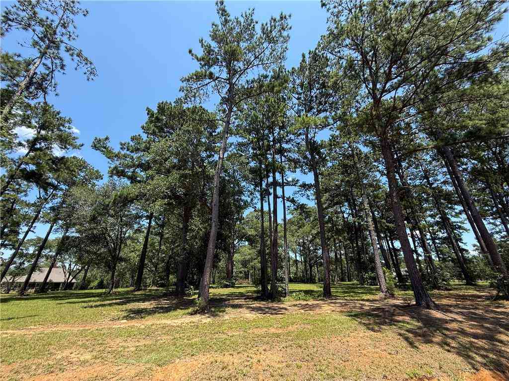 Vacant Land For Sale - 7238 The Woods Avenue<br/> Saint Tammany County, Abita Springs, LA 70420