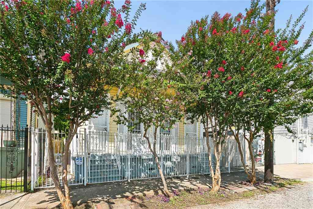 Homes For Sale - 2920 Philip Street<br/> Orleans County, New Orleans, LA 70113