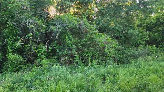 Vacant Land For Sale - N Audubon Street<br/> Saint Tammany County, Slidell, LA 70460