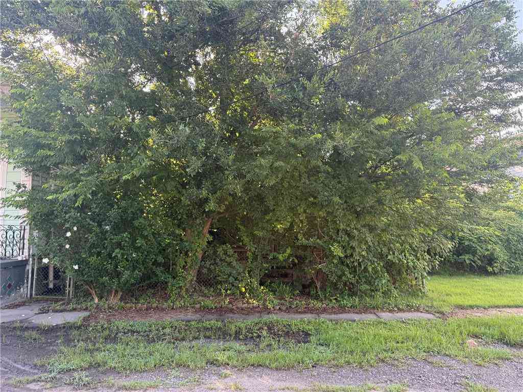 Vacant Land For Sale - 719 Lizardi Street<br/> New Orleans, LA 70117