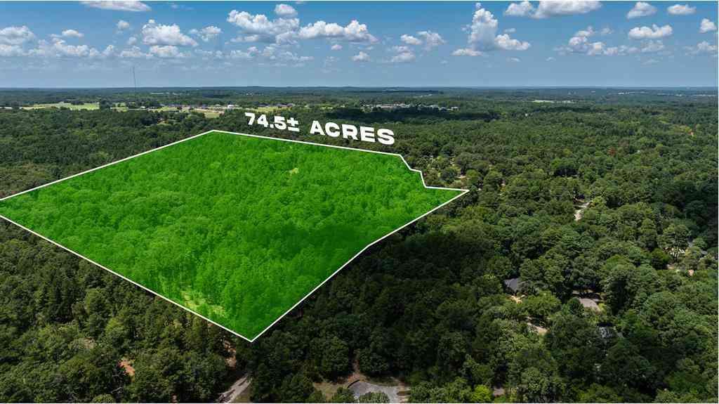 Vacant Land For Sale - 000 County Road 434<br/> Smith County, Lindale, TX 75771