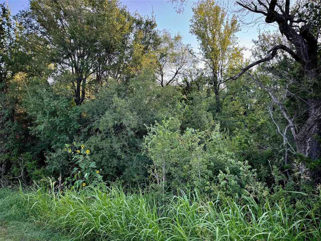 Vacant Land For Sale - TBD County Road 1117<br/> Cleburne, TX 76033