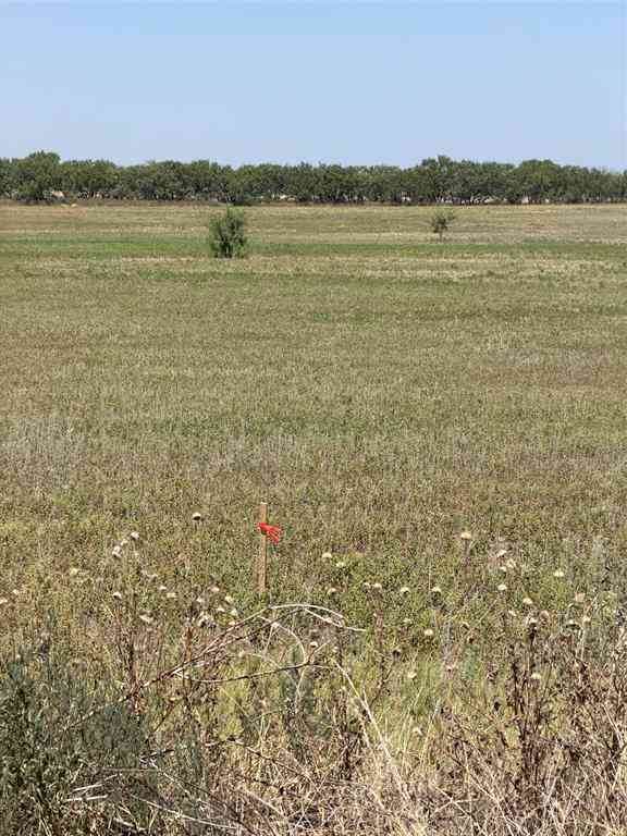 Vacant Land For Sale - TBD LOT 27 County Road 497<br/> Anson, TX 79501