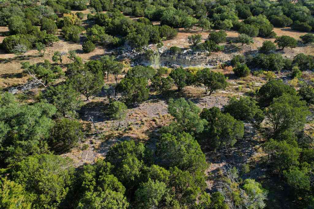Vacant Land For Sale - 5255 Private Road 42125<br/> Evant, TX 76525