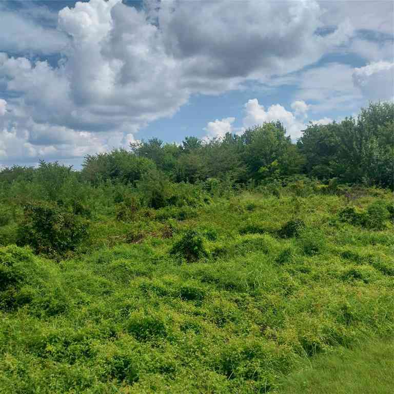Vacant Land For Sale - 1085 Deen Point Road<br/> Benton, LA 71006