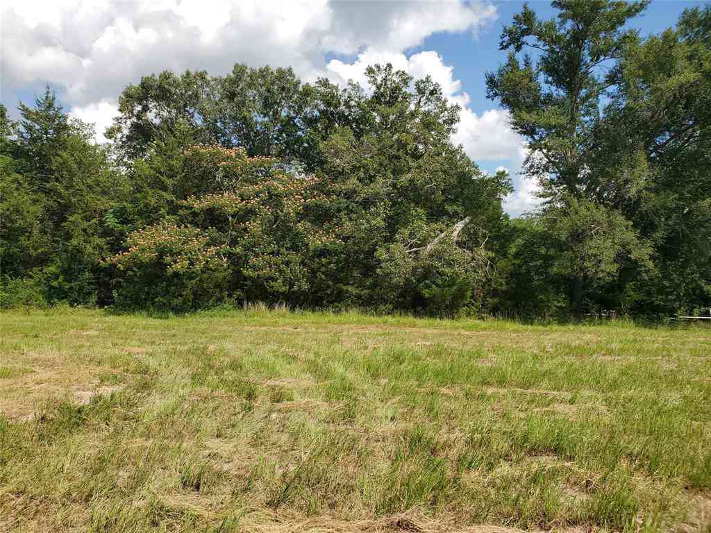 Vacant Land For Sale - LOT 8 Rs County Road 1140<br/> Emory, TX 75440