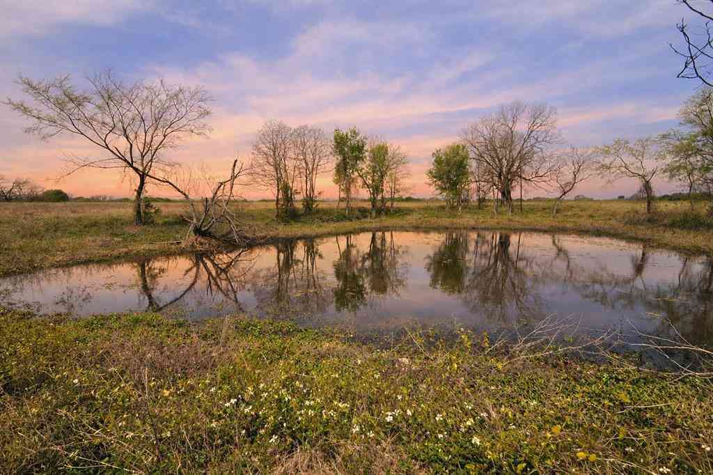 Vacant Land For Sale - LOT 95 Stillwater Shores Drive<br/> Corsicana, TX 75109