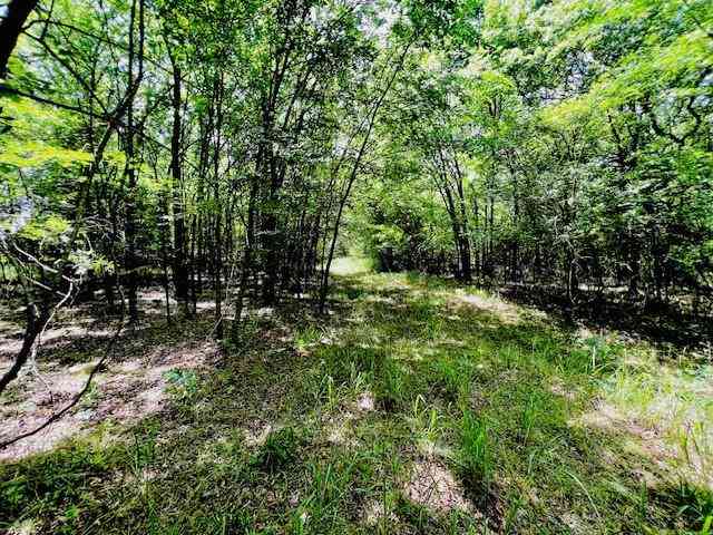 Vacant Land For Sale - Fm-2297<br/> Hopkins County, Sulphur Springs, TX 75482