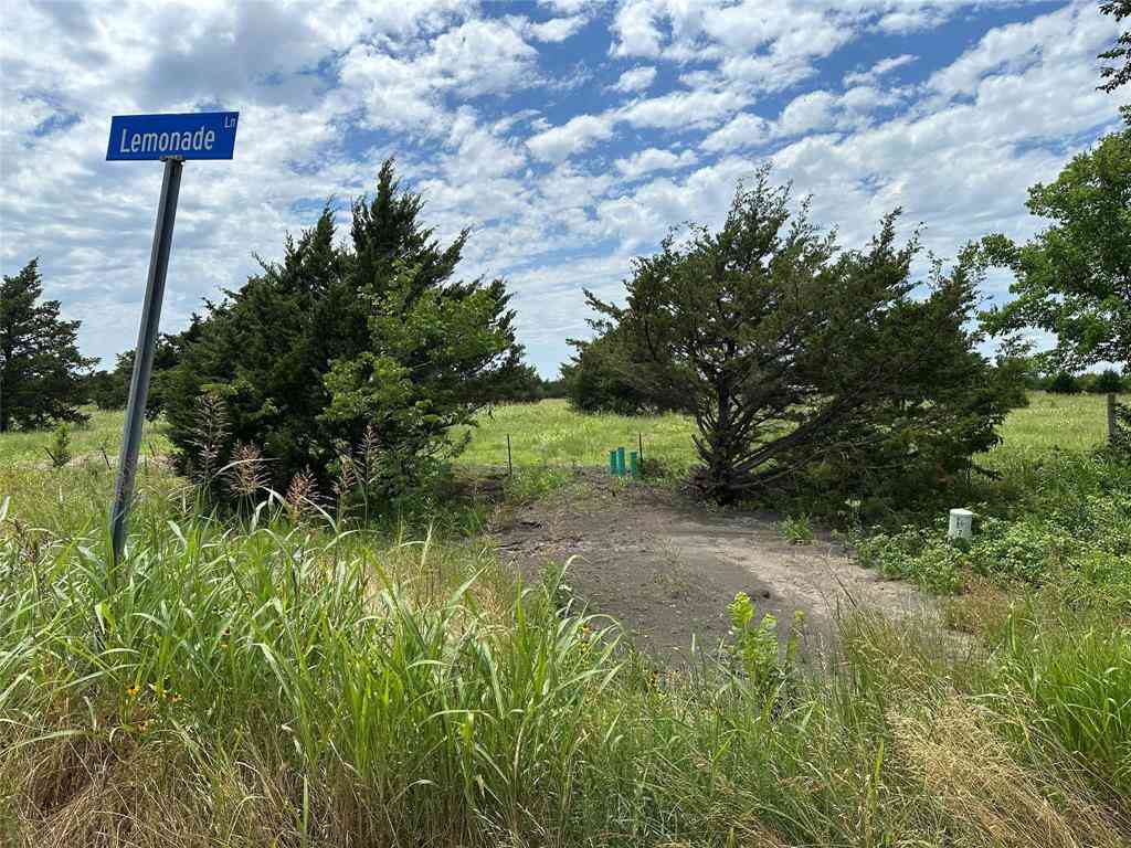 Vacant Land For Sale - LOT 7 Lemonade Ln.<br/> Farmersville, TX 75442