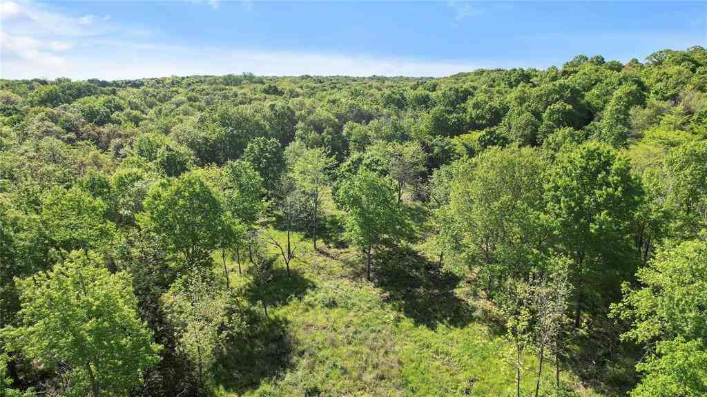 Vacant Land For Sale - 000 Hwy 56<br/> Bells, TX 75414