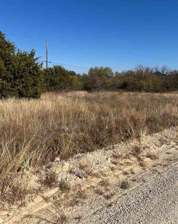 Vacant Land For Sale - 7194 Neal Drive<br/> Brownwood, TX 76801