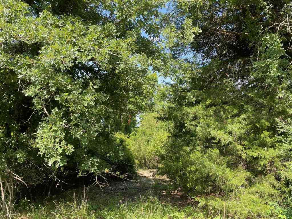 Vacant Land For Sale - TBD Lcr 794<br/> Groesbeck, TX 76687