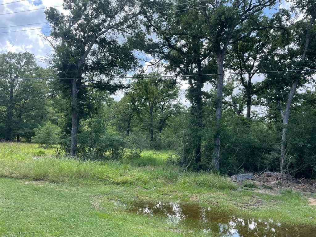 Vacant Land For Sale - 750 Lcr 750<br/> Thornton, TX 76687