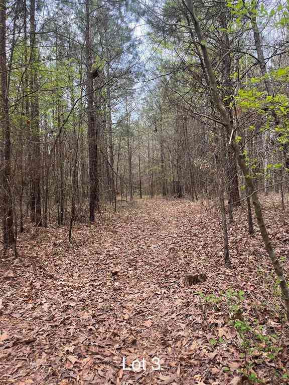 Vacant Land For Sale - Crouch Road #3<br/> Benton, LA 71006