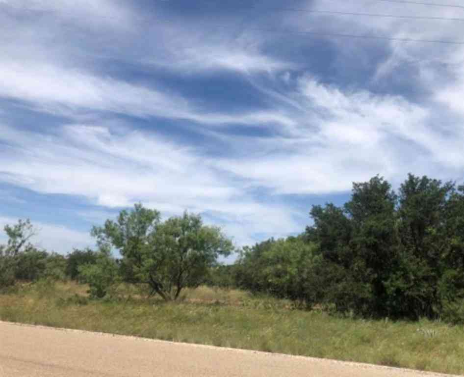 Vacant Land For Sale - TBD LOT 640 Feather Bay Drive #1<br/> Brownwood, TX 76801