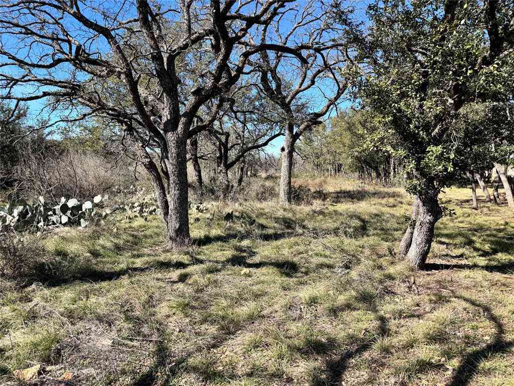 Vacant Land For Sale - TBD LOT 240 Feather Bay Drive<br/> Brownwood, TX 76801
