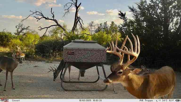 Vacant Land For Sale - 267 Cr 112<br/> Mills County, Goldthwaite, TX 76844