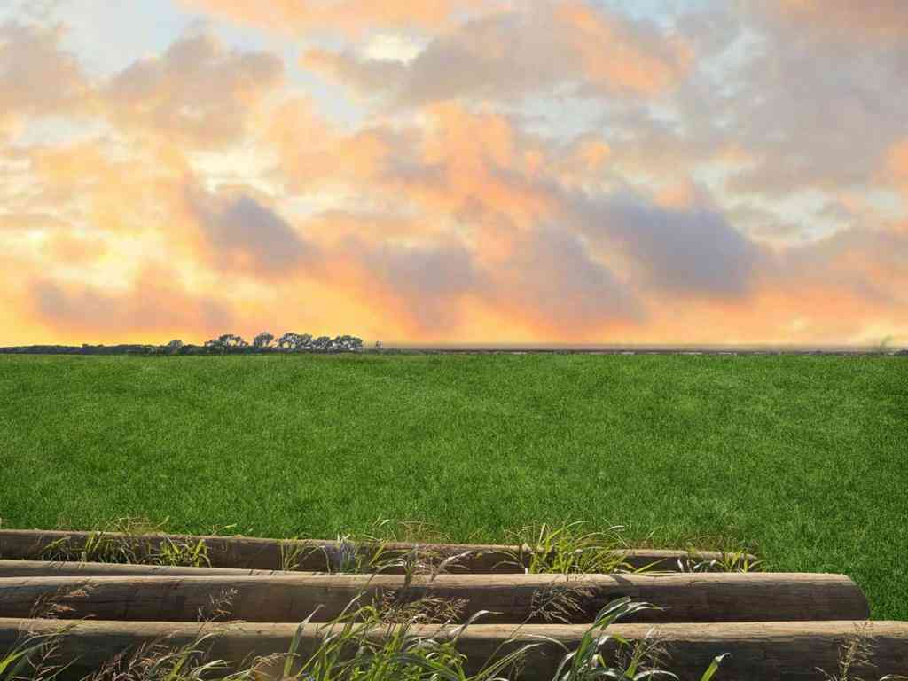 Vacant Land For Sale - LOT 2 Ponderosa Road<br/> Howe, TX 75459