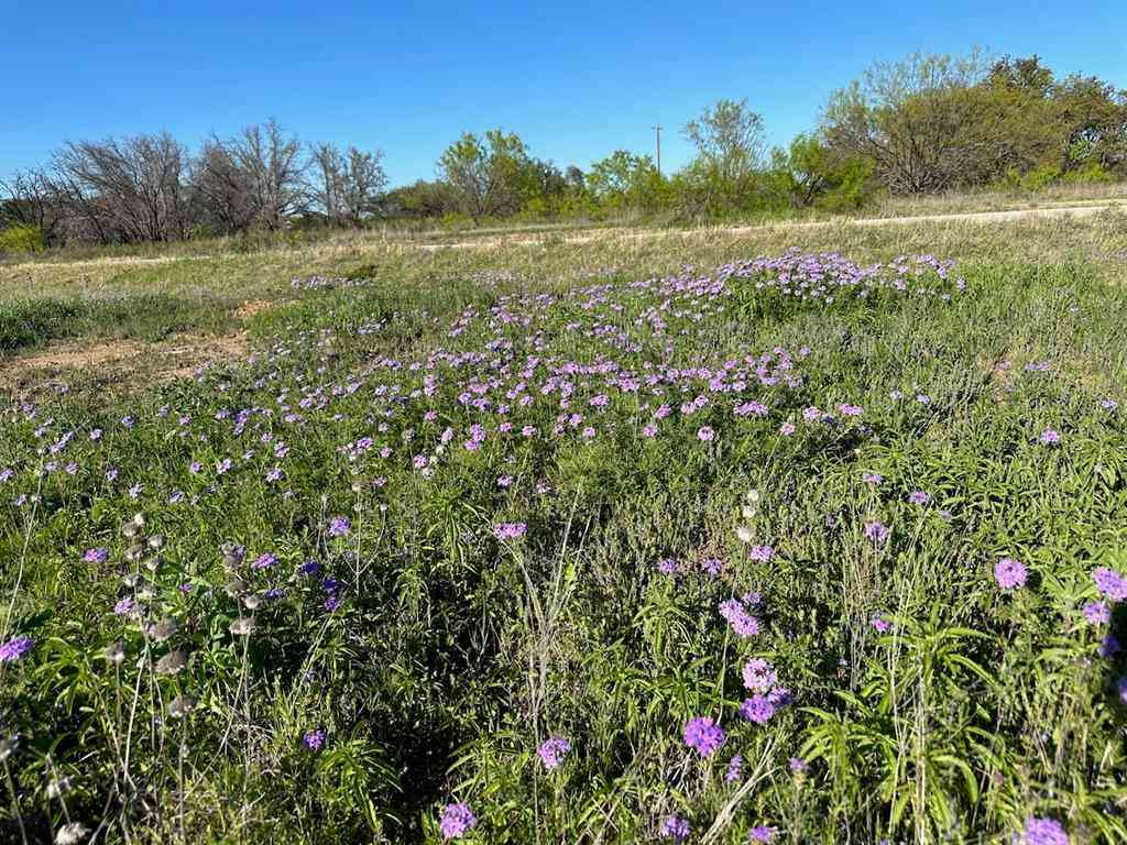 Vacant Land For Sale - 740 Downhaul Way<br/> Brownwood, TX 76801