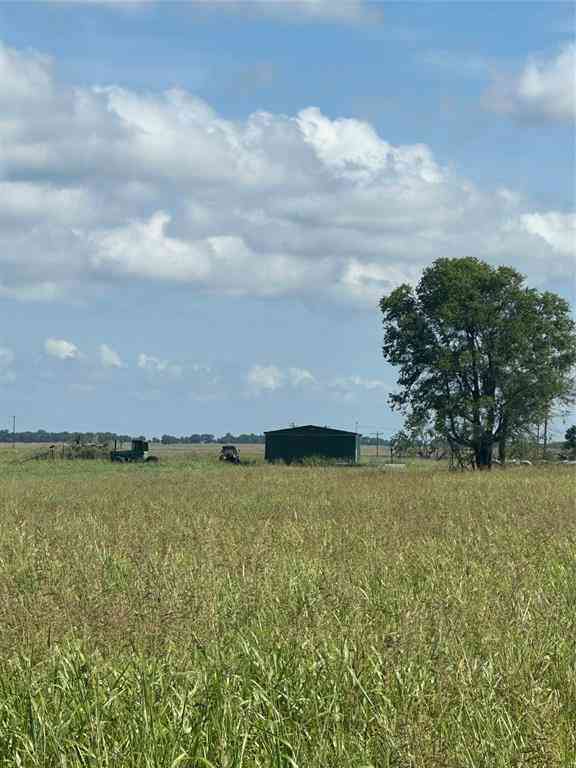 Vacant Land For Sale - 1490 County Road 3430<br/> Honey Grove, TX 75446