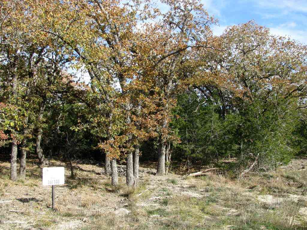 Vacant Land For Sale - LOT 140 PH 6 County Road 421<br/> Evant, TX 76566