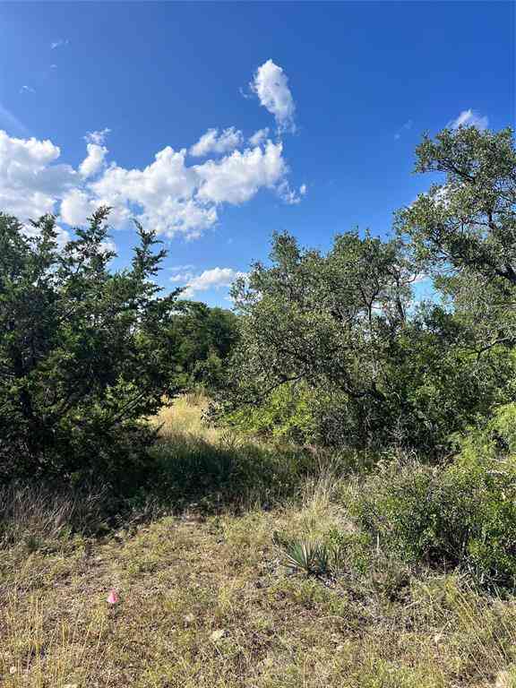 Vacant Land For Sale - 7134 Emerald Drive<br/> Brownwood, TX 76801