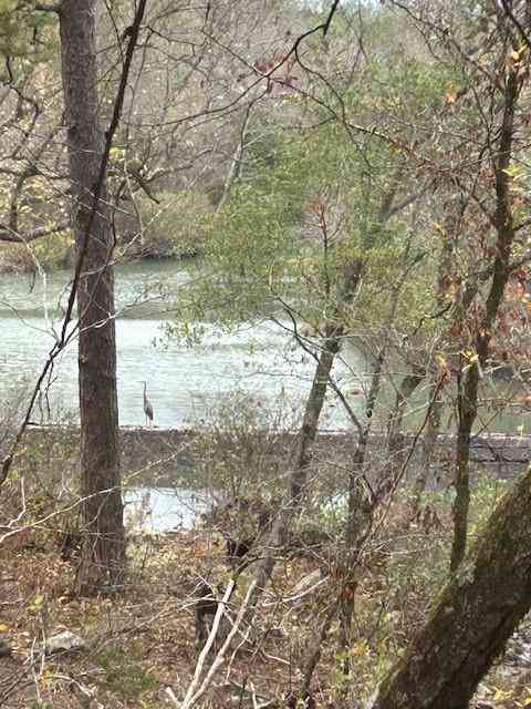 Vacant Land For Sale - TBD Josee's Journey<br/> Nashoba, OK 74558