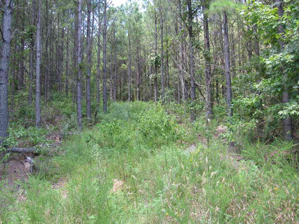 Vacant Land For Sale - TBD Josee's Journey<br/> Nashoba, OK 74558