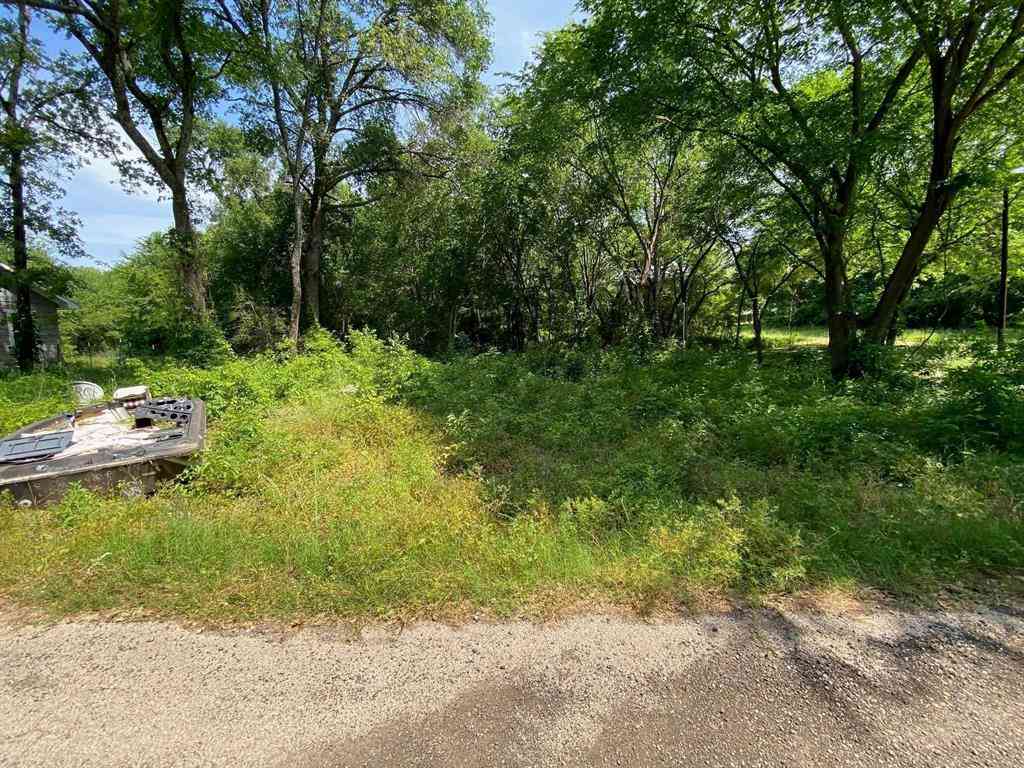 Vacant Land For Sale - 149 Lake Creek Drive<br/> Mabank, TX 75156