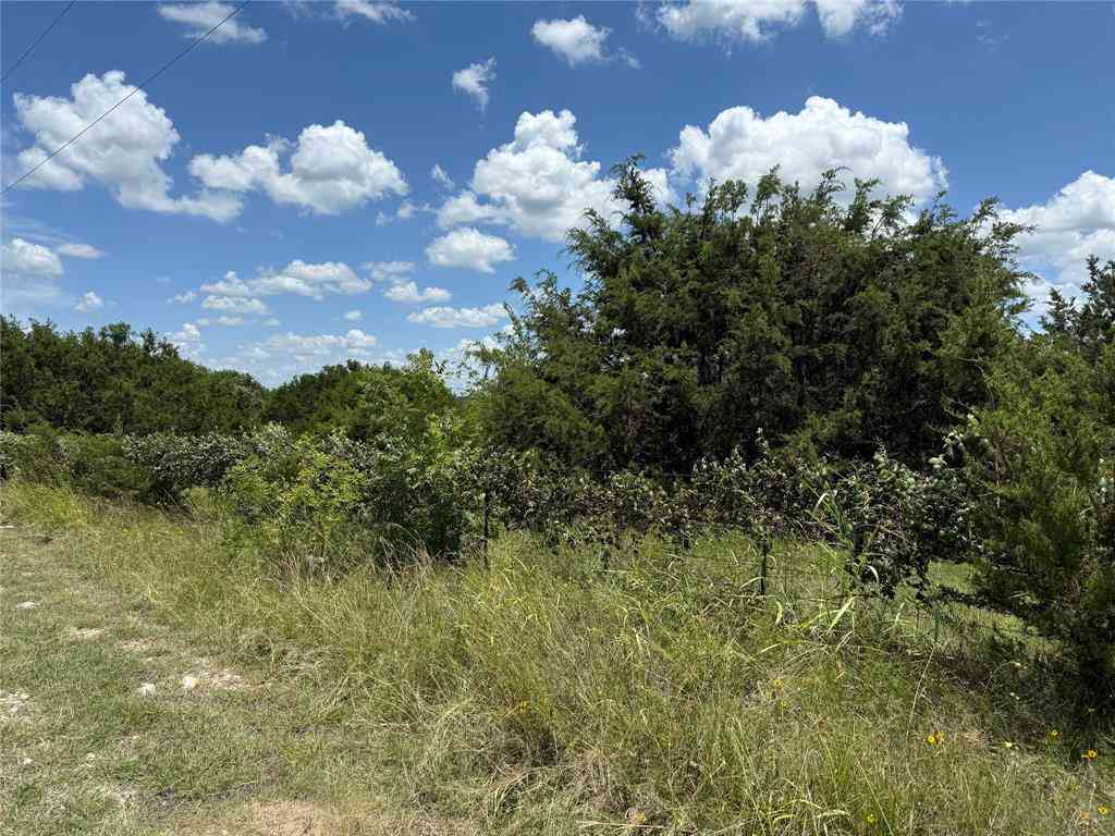 Vacant Land For Sale - TBD Private Road 1743b<br/> Clifton, TX 76634